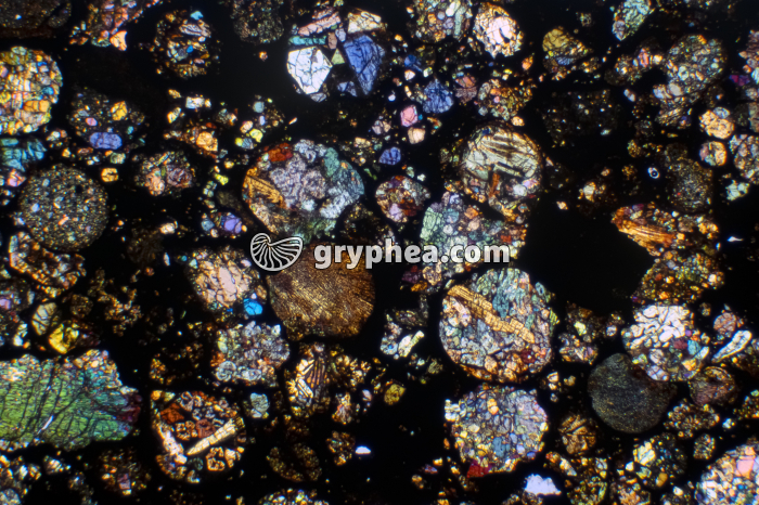 Météorite LPA x6 - gryphea.com